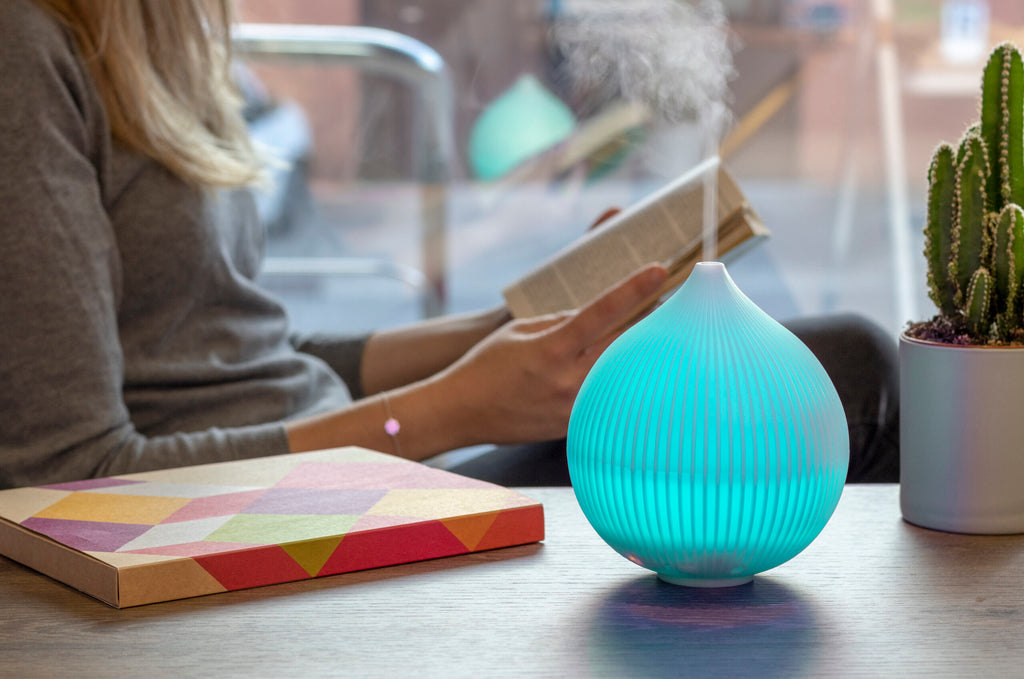 Anleitung zur Reinigung des Diffuser PADMA