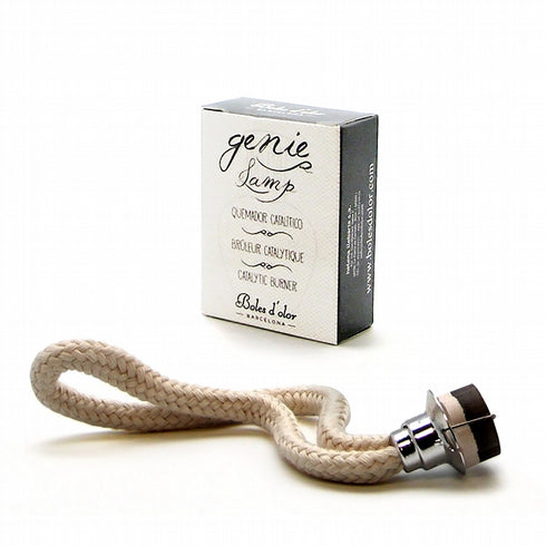 Genie Lamp Catalytic Burner